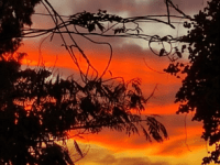 הנסיגה בהתאם לגיל