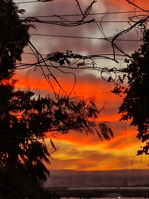 הנסיגה בהתאם לגיל