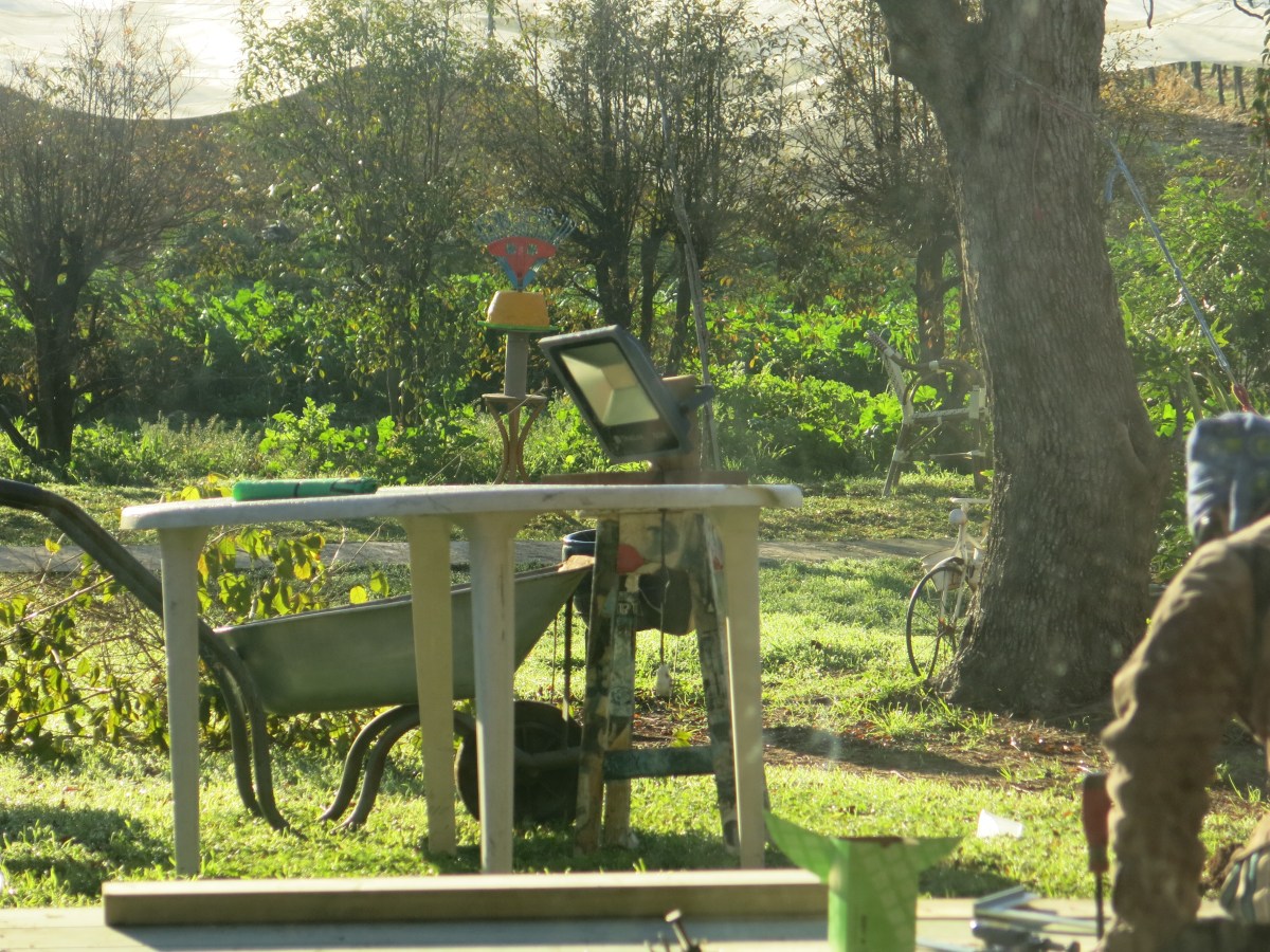 קפה ראשון בבוקר